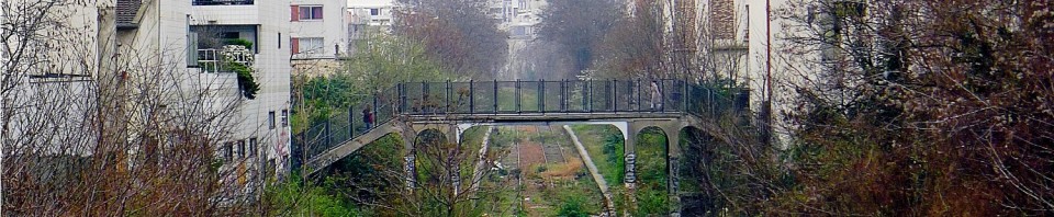 La petite ceinture , telle qu'elle est aujourd'hui, abandonnée par la gauche aux mauvaises herbes