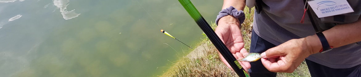 Lac Daumesnil, à la fête des pêcheurs du 3 juin 2018