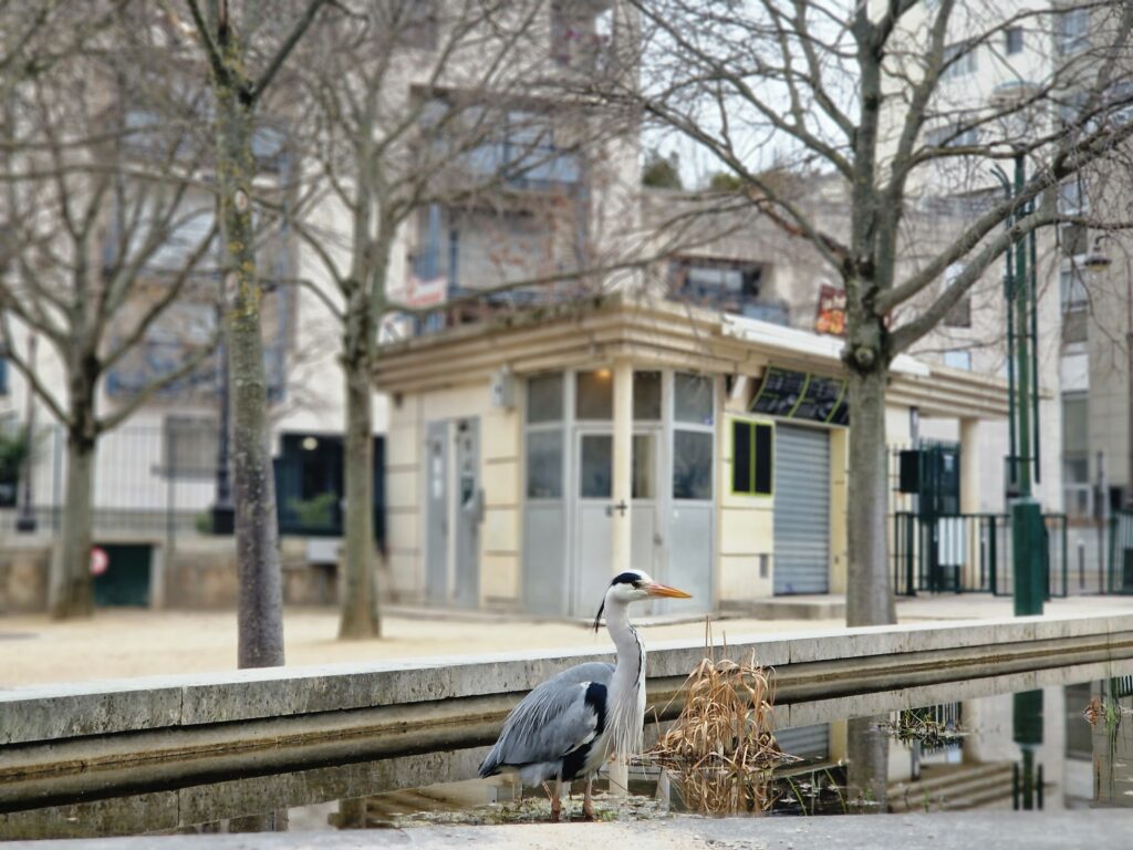 plan biodiversité de Paris