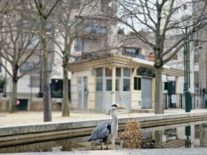 plan biodiversité de Paris